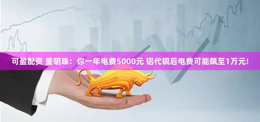 可盈配资 董明珠：你一年电费5000元 铝代铜后电费可能飙至1万元!